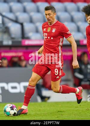 Munich, Allemagne. 27 février 2021. Robert LEWANDOWSKI, FCB 9 dans le match FC BAYERN MUENCHEN - 1.FC KOELN 5-1 1.Ligue allemande de football le 27 février 2021 à Munich, Allemagne saison 2020/2021, match jour 23, 1.Bundesliga, FCB, München, 23.Spieltag, Köln. © Peter Schatz / Alamy Live News - LE RÈGLEMENT DFL INTERDIT TOUTE UTILISATION DE PHOTOGRAPHIES comme SÉQUENCES D'IMAGES et/ou QUASI-VIDÉO - Banque D'Images