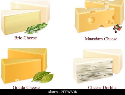 Ensemble de fromages en morceaux brie, gouda, dorblu et maasdam avec illustrations vectorielles isolées aux épices Illustration de Vecteur