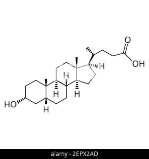 Acide lithocholique. Acide biliaire. Formule moléculaire chimique acide lithocholique. Illustration vectorielle sur un arrière-plan isolé Illustration de Vecteur