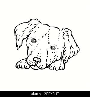 Chien mignon, assis, visage sur les pattes. Dessin noir et blanc. Banque D'Images