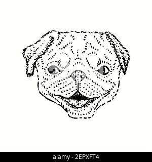 Chien mignon, petit visage. Dessin noir et blanc. Banque D'Images