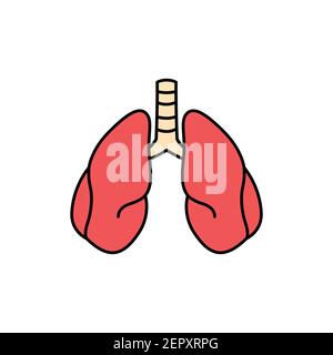 Icône de ligne de couleur des poumons d'organe humain. Pictogramme pour page Web, application mobile, Promo. Élément de conception UI UX GUI. Contour modifiable. Illustration de Vecteur