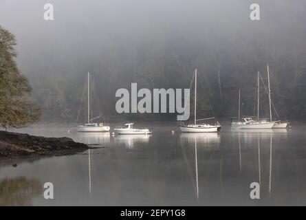 Drake's Pool, Crosshaven, Cork, Irlande. 28 février 2021. Des yachts amarrés dans le brouillard le long de la rivière Owenabue à Drake's Pool, Crosshaven, Co. Cork, Irlande. - crédit; David Creedon / Alamy Live News Banque D'Images