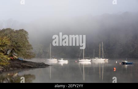 Drake's Pool, Crosshaven, Cork, Irlande. 28 février 2021. Des yachts amarrés dans le brouillard le long de la rivière Owenabue à Drake's Pool, Crosshaven, Co. Cork, Irlande. - crédit; David Creedon / Alamy Live News Banque D'Images