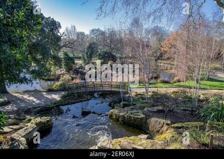 Vue de dessus Japanese Garden Island Queen Mary's Garden Regents Park Londres, Angleterre Banque D'Images