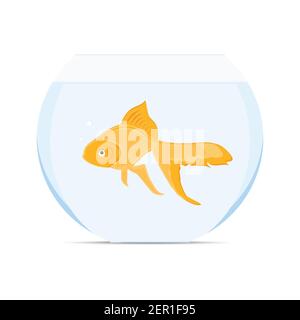 Illustration vectorielle poisson rouge réaliste dans un bol. Poissons dorés nageant dans un aquarium en verre rond transparent Illustration de Vecteur