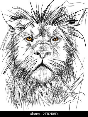 Croquis du grand portrait de lion adulte avec vecteur de manie riche Illustration Illustration de Vecteur