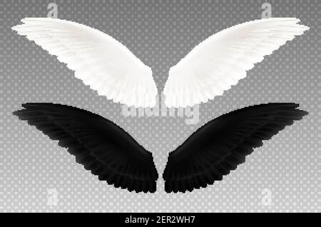 Jeu de deux ailes noir et blanc réalistes fond transparent comme symbole du bon et du mauvais vecteur isolé illustration Illustration de Vecteur