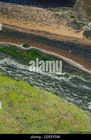 Eutrophisation, couverture dense d'algues pourries en plusieurs couleurs sur l'eau dans un fossé Banque D'Images