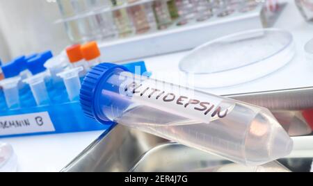 Flacon avec un composé chimique antiviral, la plitidepsine, cette formulation a une efficacité antivirale beaucoup plus puissante contre le SRAS-COV-2 que le seul antivir Banque D'Images