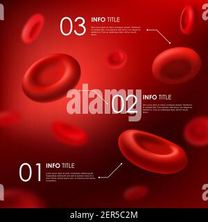 Infographies des globules rouges, hémoglobine 3d vectorielle, anatomie du corps humain. Infographie sur l'hématologie médicale, flux de cellules sanguines microscopiques réalistes dans ves Illustration de Vecteur