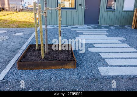 Vue magnifique sur les nouveaux arbres plantés et les pavés de rue en face de la maison en bois nouvellement construite. Design extérieur. Banque D'Images