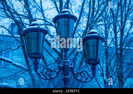 magnifique feu de rue dans le parc en hiver. teinté bleu Banque D'Images