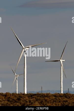 Ely, Nevada, États-Unis. 26 février 2021. Des moulins à vent sont vus à Spring Valley Wind, le premier parc éolien du Nevada, le 26 février 2021. La ferme est détenue et exploitée par Pattern Energy. L'installation est située dans la vallée de Spring, au nord-ouest du parc national de Great Basin et à environ 30 miles à l'est d'Ely, Nevada. Le projet de 152 mégawatts, construit en 2012, utilise 66 éoliennes Siemens SWT-2.3-101 et se connecte au système de transmission NV Energy. Crédit : David Becker/ZUMA Wire/Alay Live News Banque D'Images