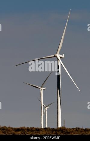 Ely, Nevada, États-Unis. 26 février 2021. Des moulins à vent sont vus à Spring Valley Wind, le premier parc éolien du Nevada, le 26 février 2021. La ferme est détenue et exploitée par Pattern Energy. L'installation est située dans la vallée de Spring, au nord-ouest du parc national de Great Basin et à environ 30 miles à l'est d'Ely, Nevada. Le projet de 152 mégawatts, construit en 2012, utilise 66 éoliennes Siemens SWT-2.3-101 et se connecte au système de transmission NV Energy. Crédit : David Becker/ZUMA Wire/Alay Live News Banque D'Images