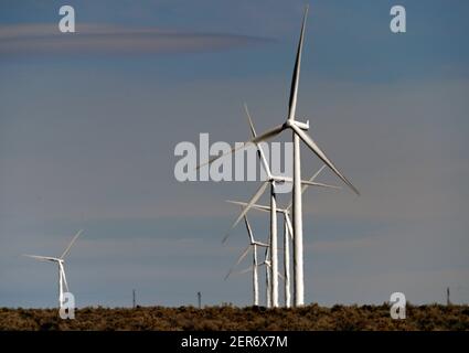 Ely, Nevada, États-Unis. 26 février 2021. Des moulins à vent sont vus à Spring Valley Wind, le premier parc éolien du Nevada, le 26 février 2021. La ferme est détenue et exploitée par Pattern Energy. L'installation est située dans la vallée de Spring, au nord-ouest du parc national de Great Basin et à environ 30 miles à l'est d'Ely, Nevada. Le projet de 152 mégawatts, construit en 2012, utilise 66 éoliennes Siemens SWT-2.3-101 et se connecte au système de transmission NV Energy. Crédit : David Becker/ZUMA Wire/Alay Live News Banque D'Images