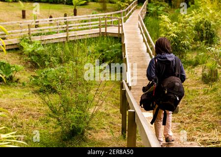 Gros plan d'une jeune femme aventureuse qui marche seule sur un chemin étroit de randonnée en bois transportant de grands sacs. Le chemin se bifurque devant quel point sh Banque D'Images