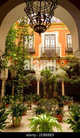 Séville, Espagne, 07-12-2010: Décoration intérieure de jardin de cour historique ornementale avec palmiers en pots, plantes grimpantes, fleurs. Les colonnes et les arches donnent Banque D'Images