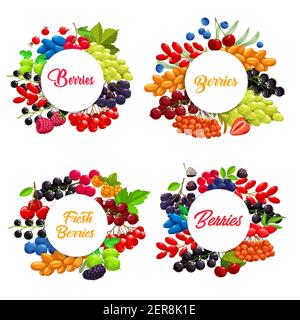 Cadres ronds vectorisés de baies de dessins animés. Fraise, raisin blanc et mûre, framboise, cerise, cassis et rouge avec myrtille. Baies de mer Illustration de Vecteur