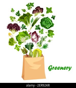 Salades et verts de verdure, lettres vectorielles dans un sac de shopping. Salades d'arugula, de chicorée et d'épinards, de cresson, de collard et de feuilles de mangold, jardin agricole ci Illustration de Vecteur