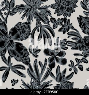 Motif sans couture avec dessin à la main, stylisé et succulent Illustration de Vecteur