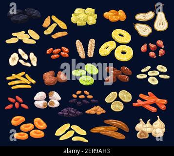 Ensemble de desserts aux fruits secs et aux baies. Prune, mangue et gingembre, kumquat, poire et pomme, cornouiller, melon et ananas, rosehip, dattes et kiwi, banane, Illustration de Vecteur