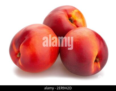 Chemin de nectarine isolated on white Banque D'Images