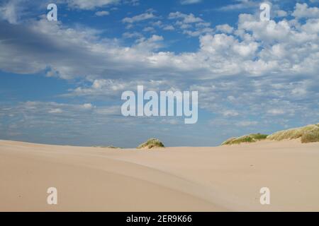 Dunes de sable de la réserve naturelle nationale de Sands of Forvie, Newburgh, Aberdeenshire, Écosse Banque D'Images