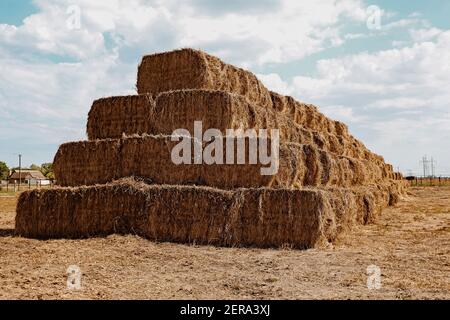 Énorme pyramide de foin des piles de blé, herbe sèche au village sur fond ciel nuageux, fond agricole Banque D'Images