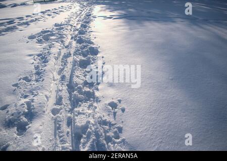 Pistes dans la neige - pistes de ski et de bottes brisent la neige autrement monotone, éclairée par le soleil de l'après-midi. Ottawa, Ontario, Canada. Banque D'Images