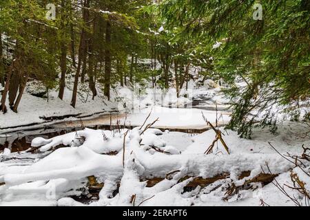 Muskoka Falls et zone de conservation Bracebrige Algonquin Highlands Bracebridge Ontario Le Canada en hiver Banque D'Images
