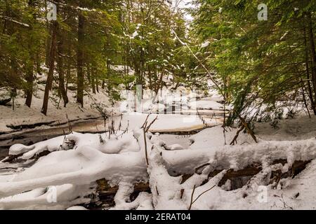 Muskoka Falls et zone de conservation Bracebrige Algonquin Highlands Bracebridge Ontario Le Canada en hiver Banque D'Images