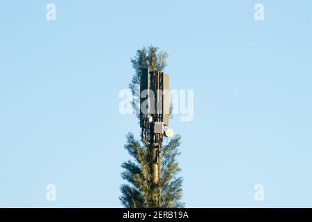 Mobile téléphone cellulaire tour cellulaire déguisée comme un arbre dans une tentative de se fondre dans le cadre naturel, Angleterre, Royaume-Uni Banque D'Images