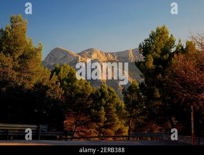 Vue spectaculaire du point de vue Mirador de ses Barques Les montagnes Tramuntana baignaient dans la lumière du soleil dorée derrière les pins Sur l'île des Baléares Banque D'Images