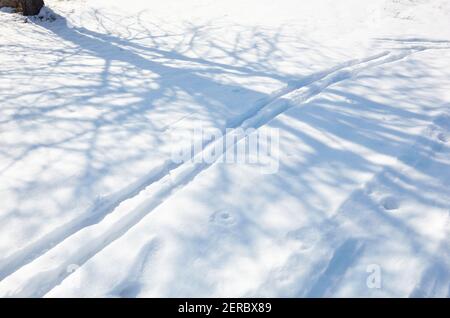 Piste de ski dans la forêt d'hiver. Vue sur la piste de ski sur fond de neige. Belle lumière du soir sur une surface enneigée. Banque D'Images