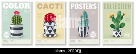 Variétés de cactus en fleurs 4 mini affiches réalistes avec populaire plantes de maison en pots décoratifs illustration vectorielle Illustration de Vecteur