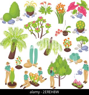 Serre de jardin botanique isométrique avec des images isolées de divers plante des arbres et des fleurs avec l'illustration de vecteur de personnes Illustration de Vecteur