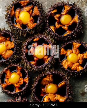 Oursins frais ouverts avec œufs de caille et sauce soja sur plaque sur fond d'ardoise de pierre Banque D'Images