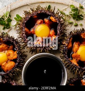 Oursins frais ouverts avec œufs de caille et sauce soja sur plaque sur fond gris Banque D'Images