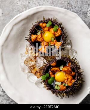 Oursins frais ouverts avec œufs de caille et sauce soja sur plaque sur fond gris Banque D'Images