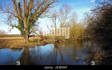 Une vue sur la rivière Wensum à la fin de l'hiver qui coule à côté des arbres avec des réflexions en aval de Drayton, Norfolk, Angleterre, Royaume-Uni. Banque D'Images