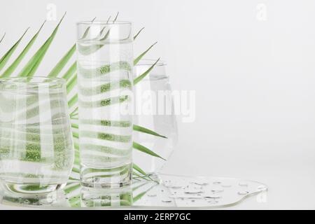 feuille de palmier déformée à travers l'eau dans des verres avec miroir sur fond blanc. eau pure, relax, surréaliste, éco-friendly concept de maison. espace de copie. Banque D'Images