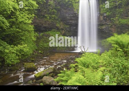 Henrhyd Falls NP de Brecon Beacons au Pays de Galles LA000450 Banque D'Images