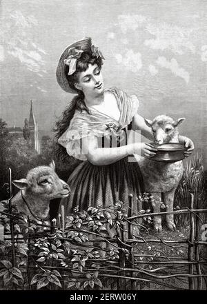 Jeune femme bergère du XIXe siècle qui donne de la boisson à ses moutons. Ancienne illustration gravée du XIXe siècle, El Mundo Ilustrado 1881 Banque D'Images