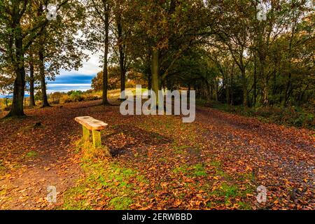 Vue sur le coucher du soleil depuis Kinver Edge, dans le Staffordshire Banque D'Images