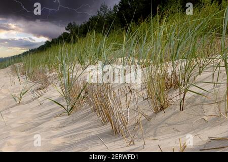 Dunes sur la plage trop cultivées avec de l'herbe et la tempête dedans l'arrière-plan Banque D'Images