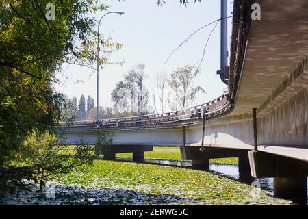 L'autoroute et l'autoroute de l'état dans la zone métropolitaine de Seattle, partie de l'état des États-Unis de Washington (State route 520) . Vue sur la route depuis la forêt Banque D'Images