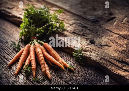 Carotte fraîche et douce sur une planche de bois rustique Banque D'Images