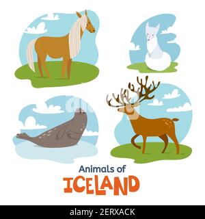 Animaux d'Islande dans un style moderne et plat Illustration de Vecteur
