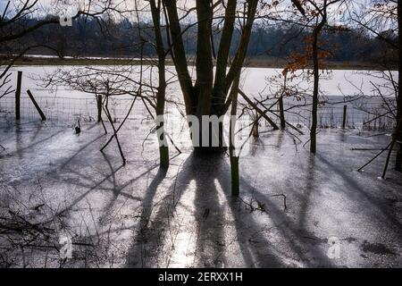 Paysage de campagne avec glace sur les eaux d'inondation Banque D'Images